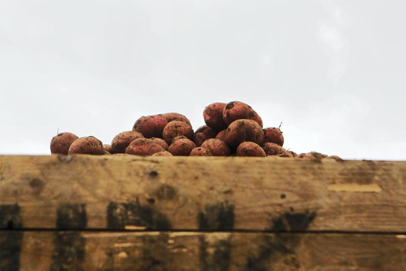 From The Tramlines: potato harvest drawing to a close - Vimarsana News