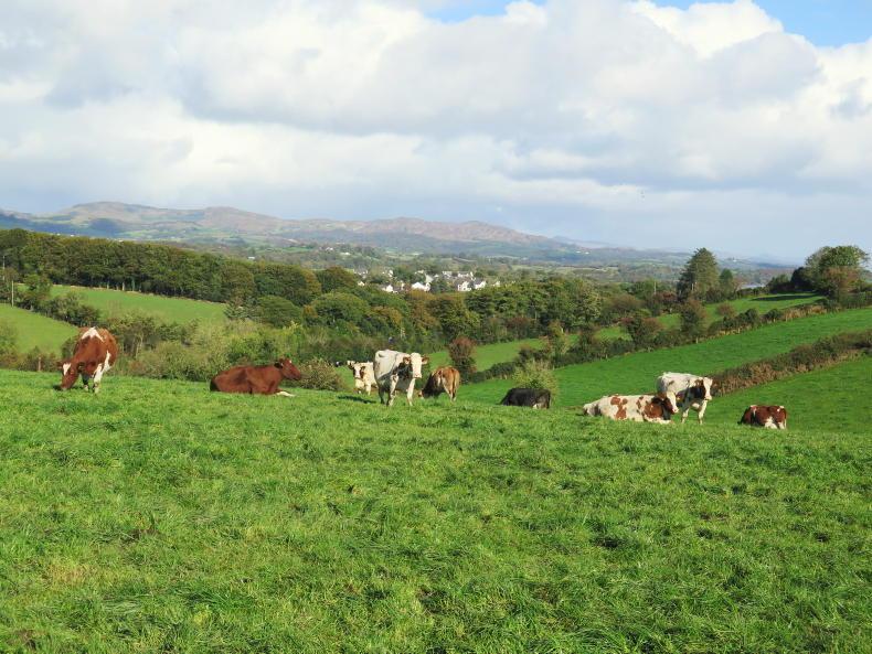 Planning pays off for Donegal retirement Free