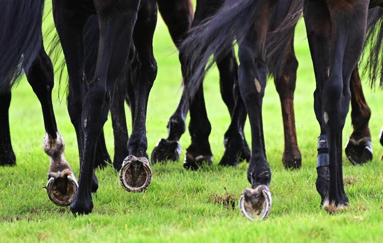 A tribute to star equestrian journalist Nicholas O'Hare 27 October 2021 Premium - Vimarsana News