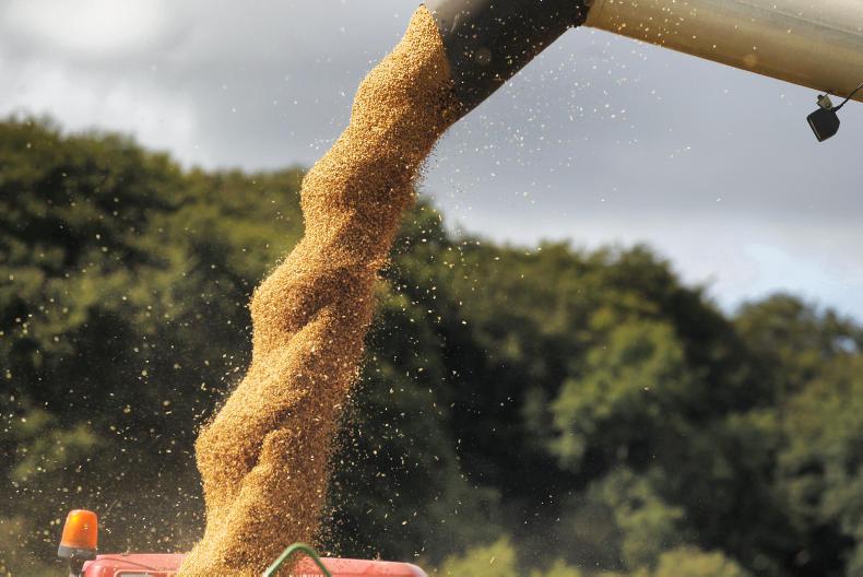 Nearby grain prices continue to strengthen - Vimarsana News