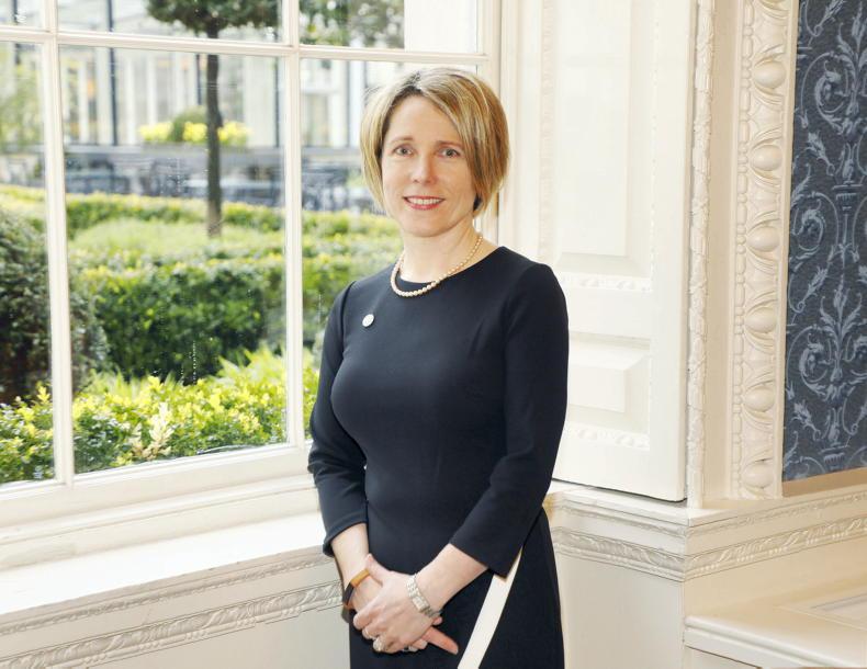 Over €130,000 in board fees for Bord Bia - Vimarsana News