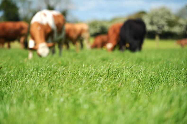 Science Week hosted by Teagasc runs as part of the farming festival