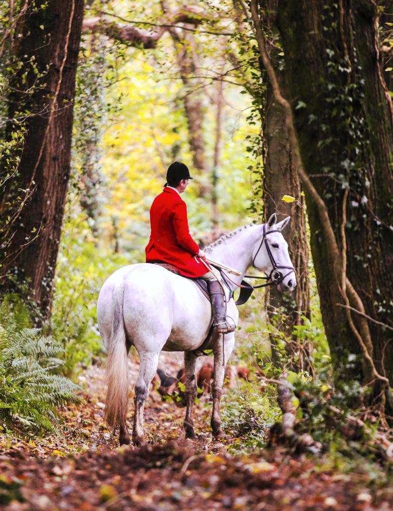 Collective spirit in the face of equestrian insurance shocks