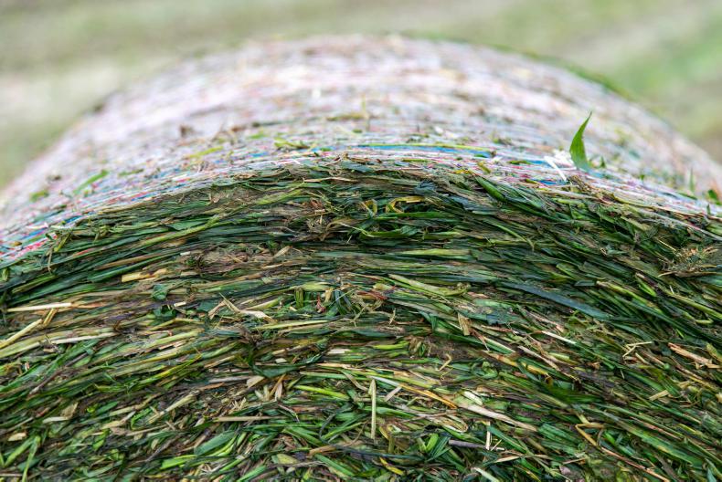 Mountain land for sale in Sligo Free