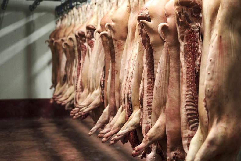 Pig kill backlog to run until spring