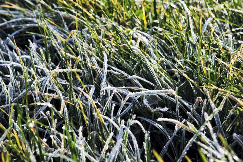 From the Tramlines: cooler temperatures welcomed 