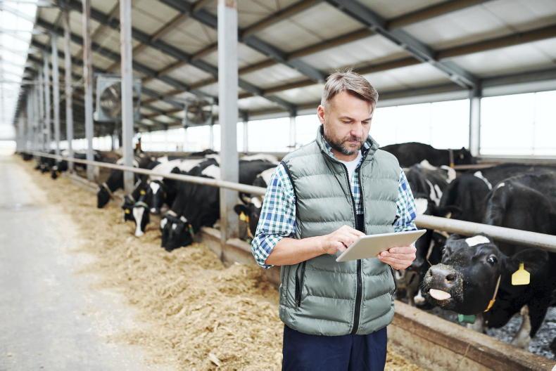 Legal Matters: is it worth claiming entitlements?