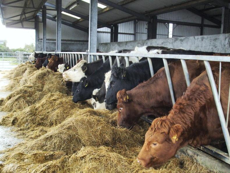 Beef Management: BDGP extension, COVID-19 issues and webinars - Vimarsana News