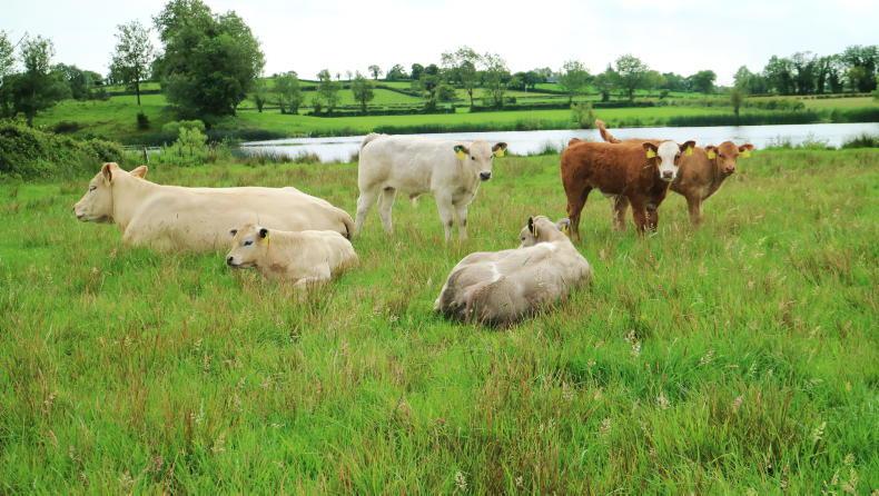 Sinn Féin introduces bill to ban fracking