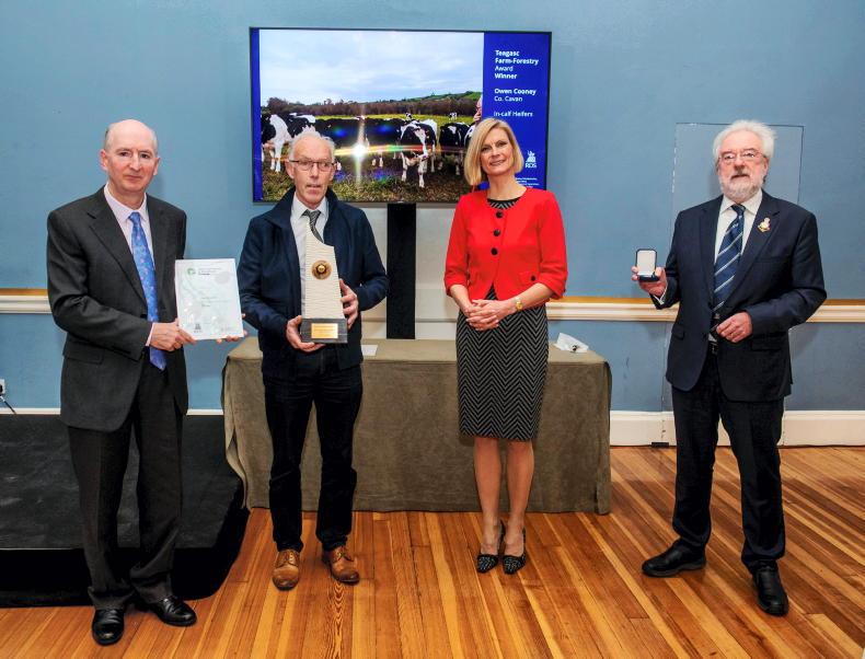Main forestry awards go to Longford, Cavan and Wexford - Vimarsana News