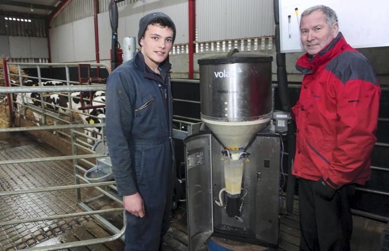 Rearing 178 calves made simpler on Antrim farm - Vimarsana News