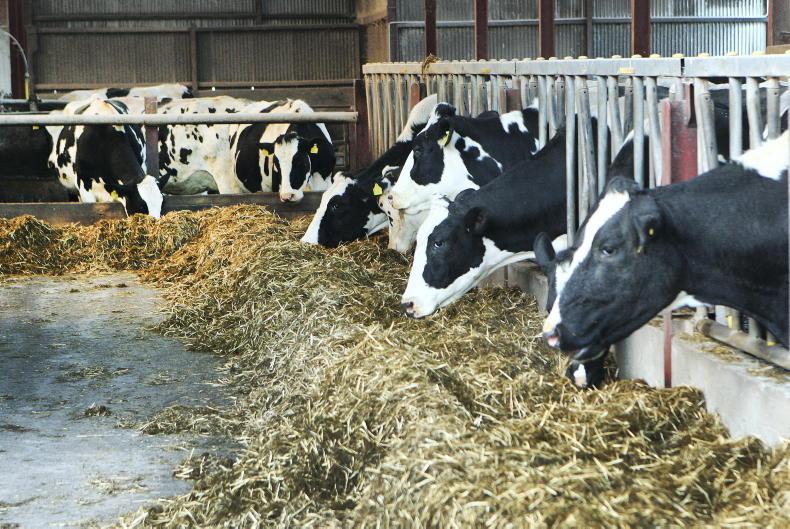 Cut in national herd may have to be Government policy - climate council chair