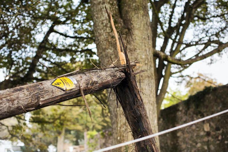 ESB Networks advise the public to stay safe & clear of electricity wires - Vimarsana News