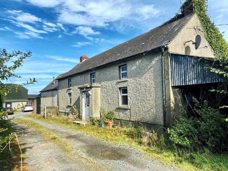 Two bidders compete for Carlow farm Free