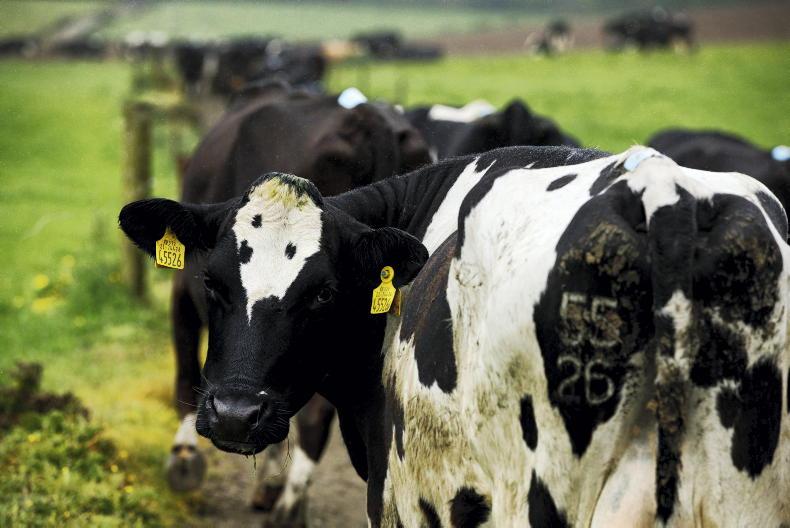 Agri jobs new dairy farm in seeks farm assistant Free