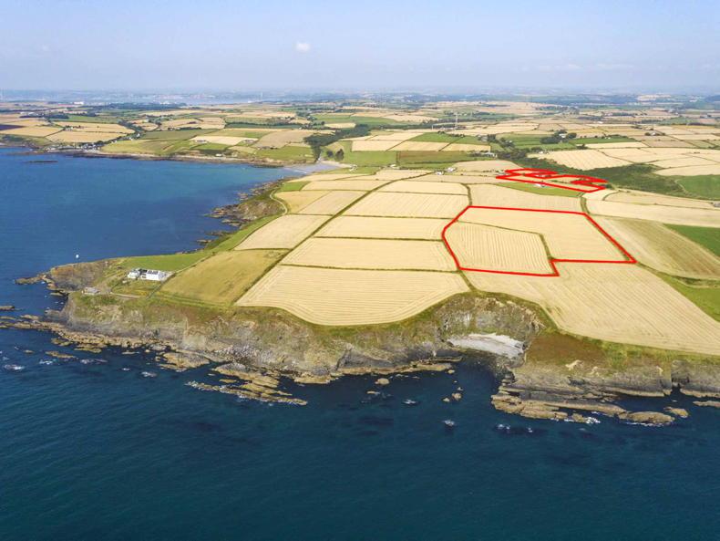 25ac of very good land in east Cork - Vimarsana News