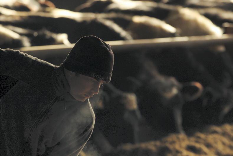 Farmer Writes: waiting around for another Glanbia solution a lost cause