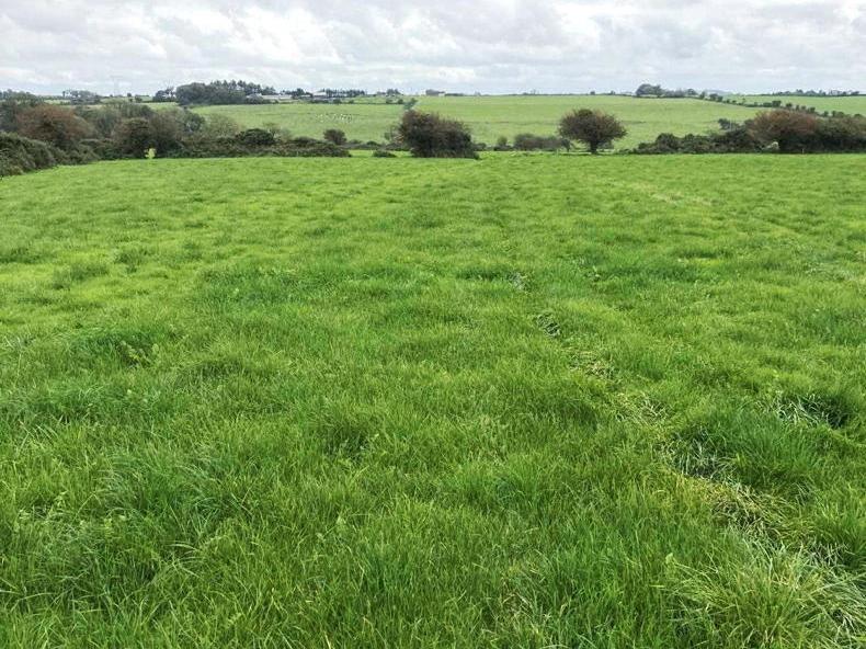 Proceeds from sale of Cork land going to charity - Vimarsana News