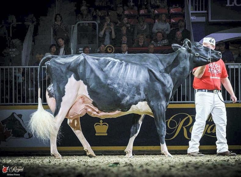 Carlisle black & white sale sees top of 20,000gns - Vimarsana News