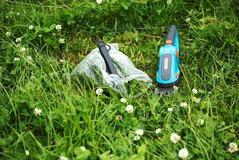 The Grass Week: measuring grass, what do you need? - Vimarsana News