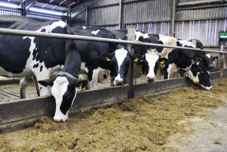 Livestock farmers still keen on dairy route
