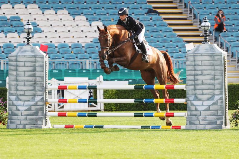 That thoroughbred mare thing - Vimarsana News