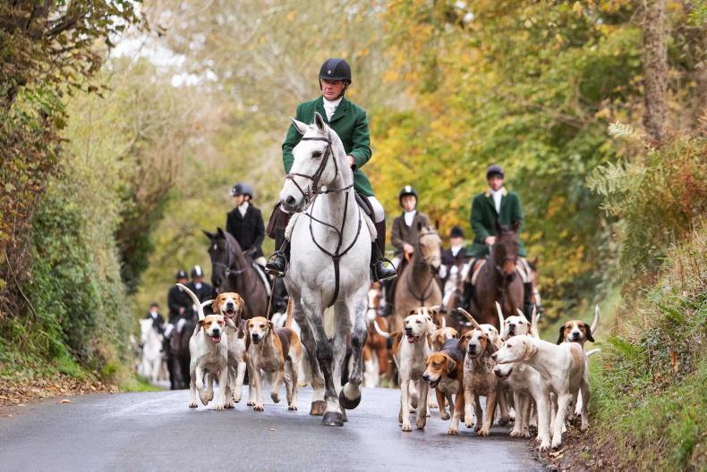 New hope for hunt and point-to-point insurance