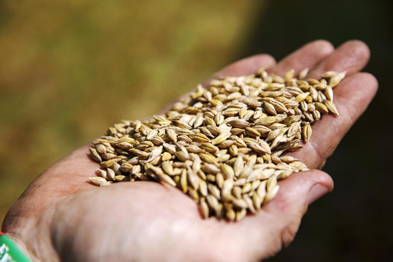 Five new varieties added to the spring recommended lists - Vimarsana News