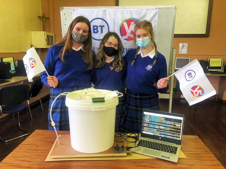 'Bottomless bucket' for rearing pet lambs 15 January 2022 Free - Vimarsana News