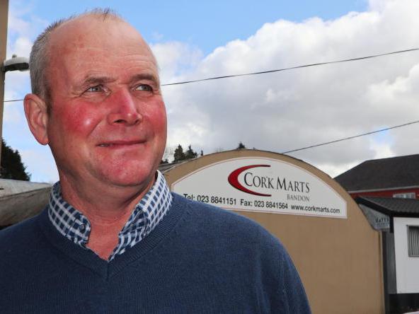 Lively start to mart calf sales - Vimarsana News