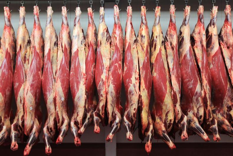 Beef Trends: heifer quotes creeping upwards as numbers set to tighten - Vimarsana News