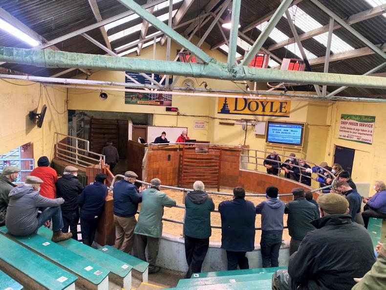 Sigh of relief from farmers back at Blessington Mart - Vimarsana News