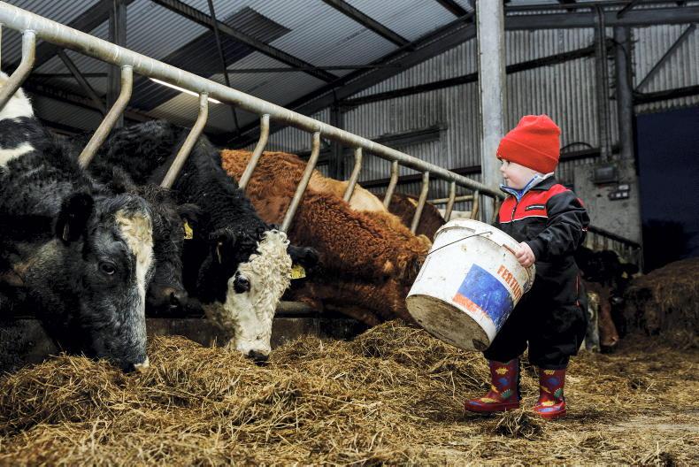 Reader photos: share your photos with us   