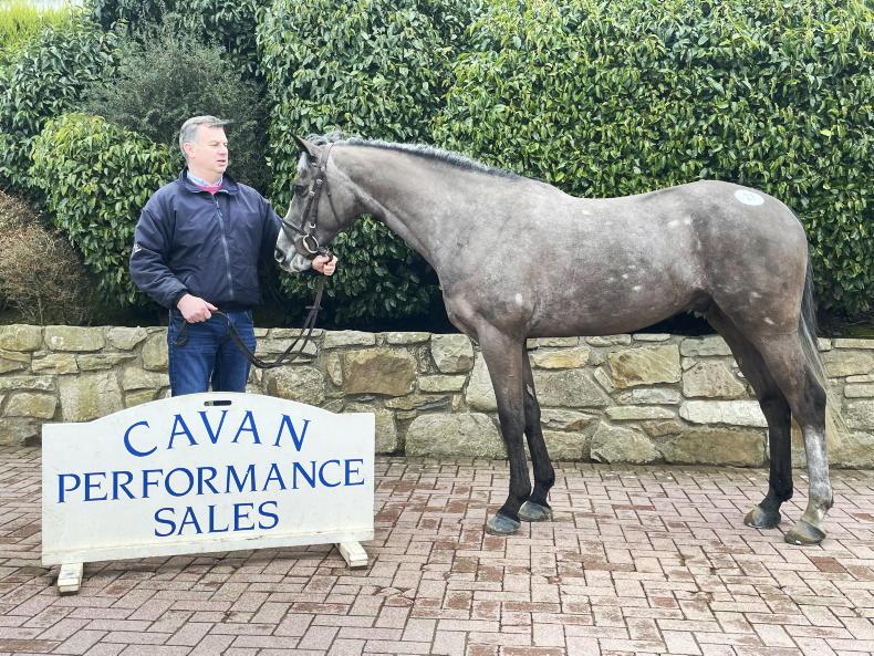 Sales are back with a bang              