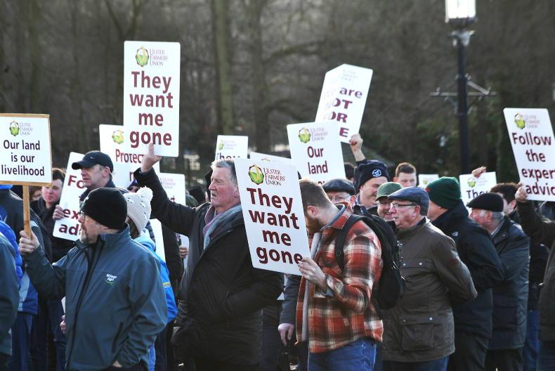 NI climate summit before crunch vote