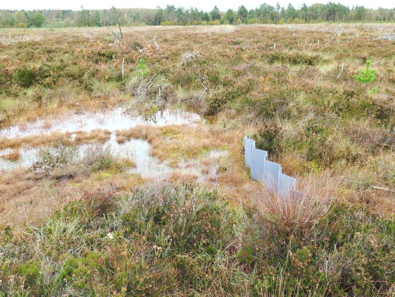 Opinion: we need to talk about peat - Vimarsana News