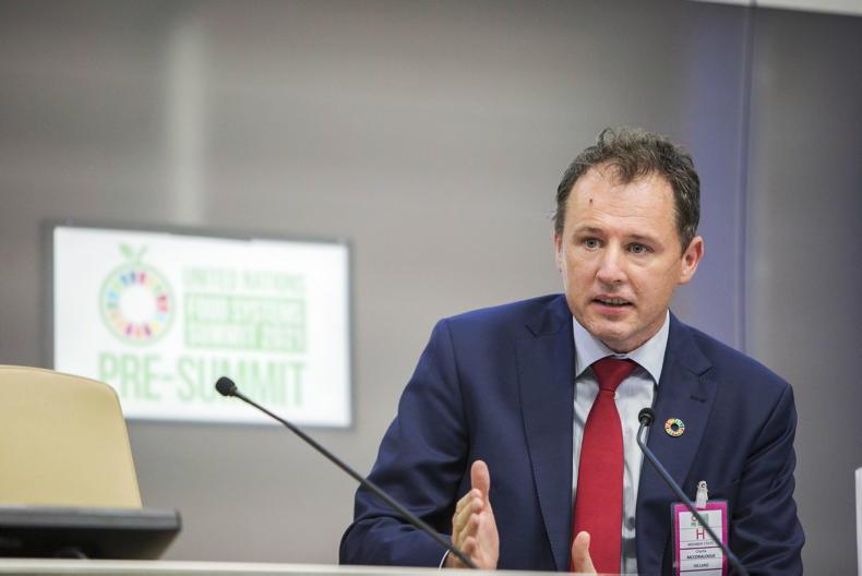 Bord Bia launches strategy to increase exports to Middle East to €380m - Vimarsana News