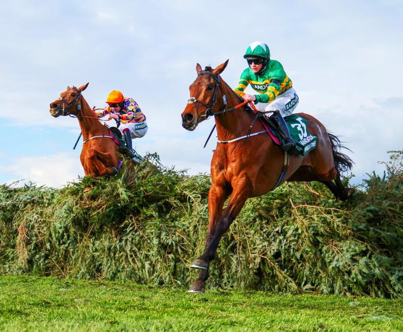 Irish Horse: Tiger and Minella allotted the same weight for Grand National