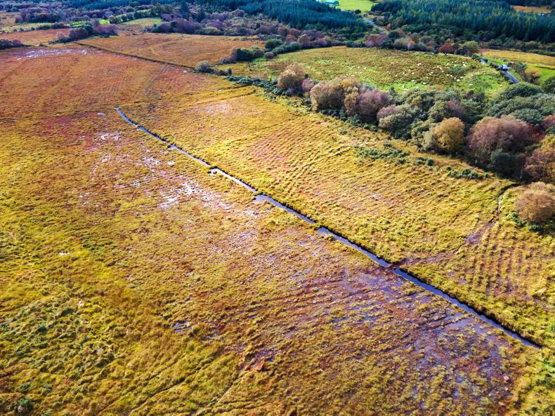 Measures proposed in new agri-environment scheme - Vimarsana News