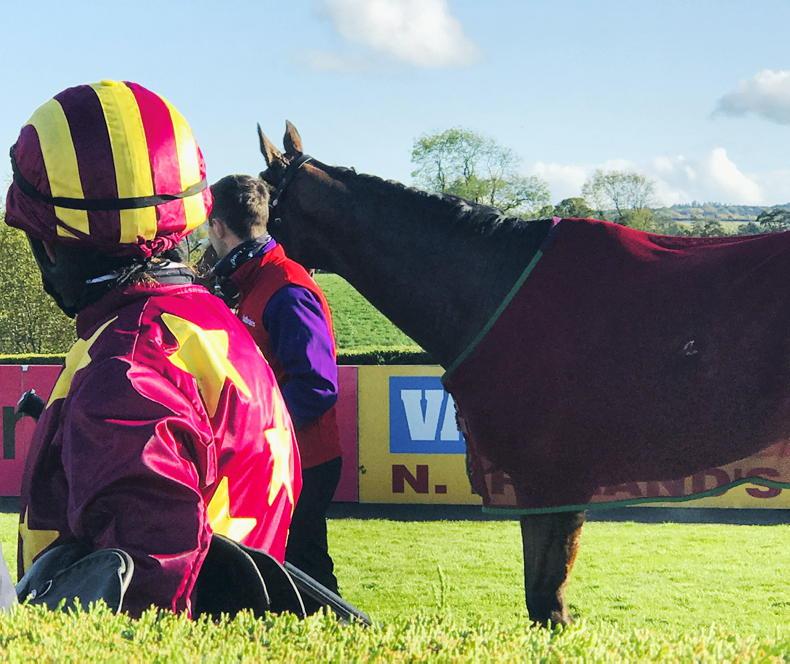 Recognising a life after racing - Vimarsana News