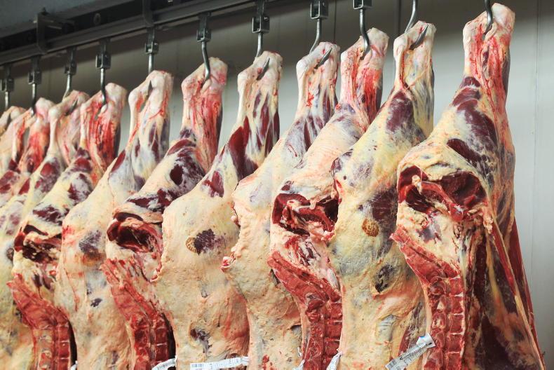 Beef trade crosses magic €5/kg mark - Vimarsana News