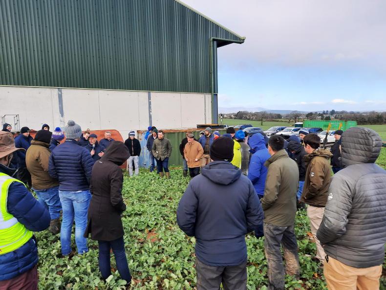Nutrition, fertiliser and grain sales - Vimarsana News