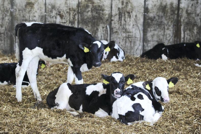 Agri jobs 500cow dairy farm seeks herdsperson Free