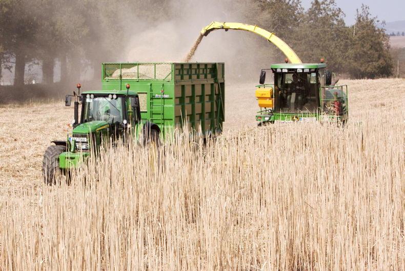 Tillage Podcast: fodder, fertiliser and return of miscanthus and willow - Vimarsana News