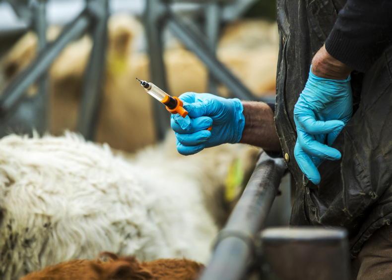 Animal health tips for March Free