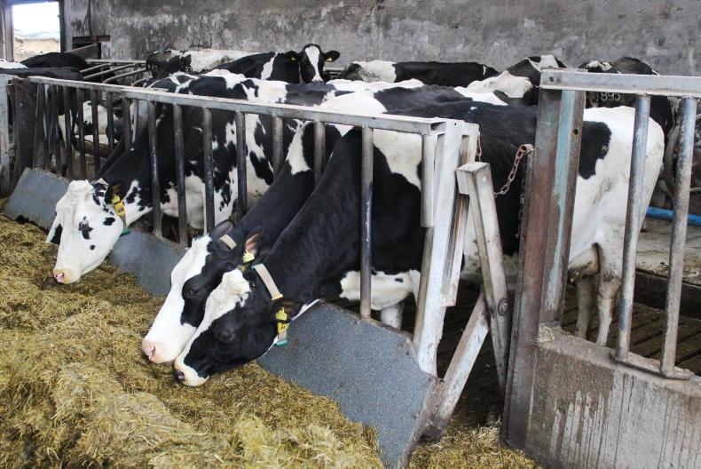 Seven in a row for milk price rise - Vimarsana News