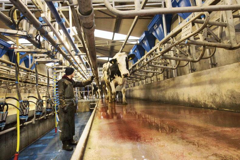 NI milk league: bonus payments keep Glanbia Ireland on top - Vimarsana News