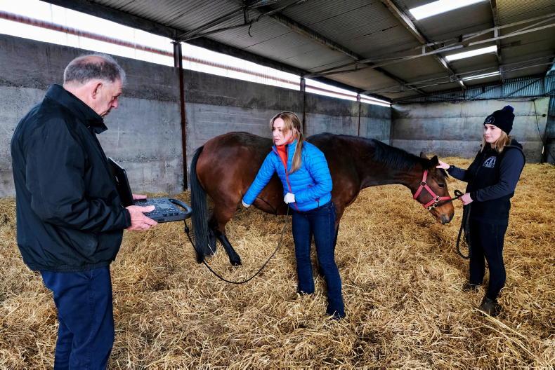 Combining forces for the gold standard in breeding services