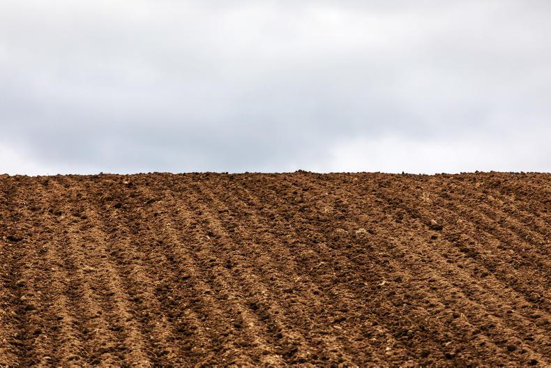 Tips for planting spring cereals - Vimarsana News