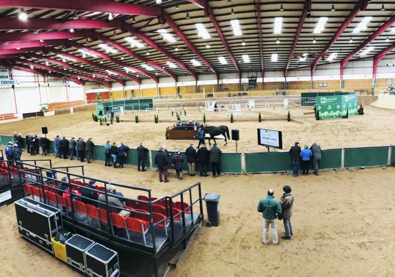 Passes very scarce at HSI stallion inspections - Vimarsana News